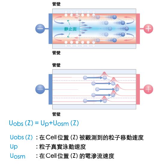 電滲流