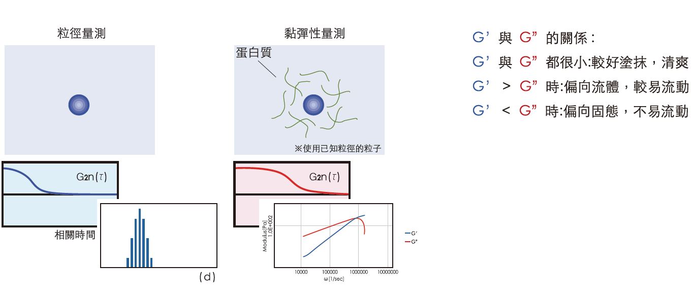 黏彈性解析