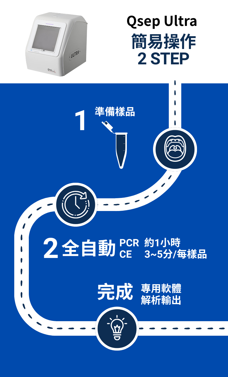 PCR步驟 PCR步驟