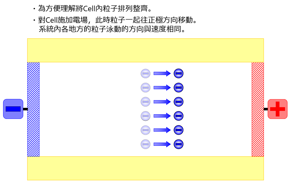 電滲流1 電滲流1