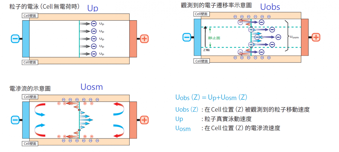 電滲流10 電滲流10