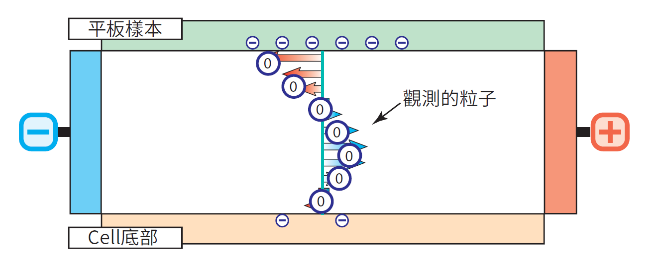 電滲流8 電滲流8