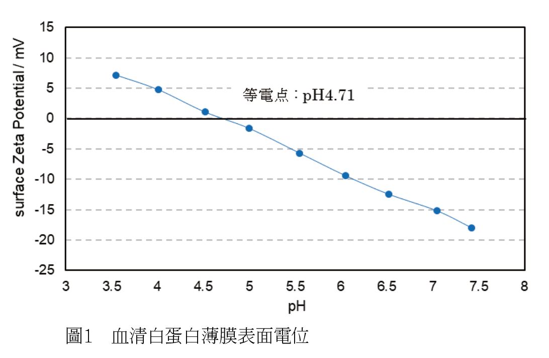 蛋白質博膜表面電位