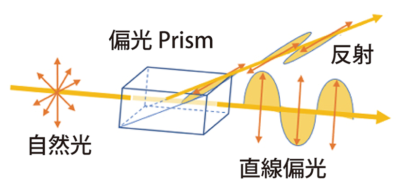 F2  WEB 技術文章　偏光とは　バラうち1-1 FIG-2 w834