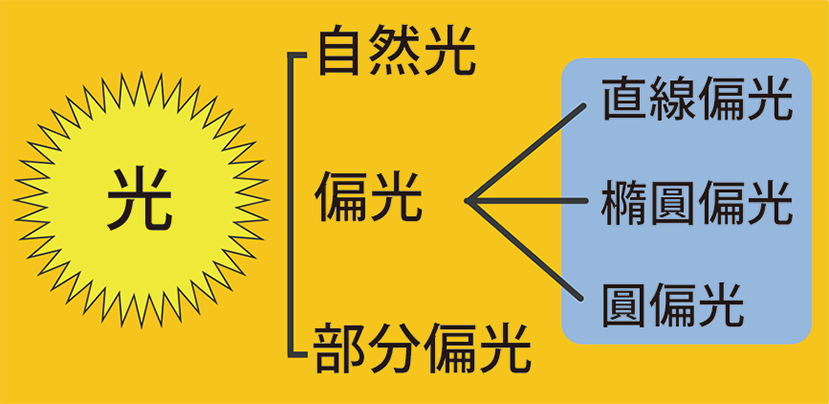 F1  WEB 技術文章　偏光とは　バラうち1-1 FIG-1 w829