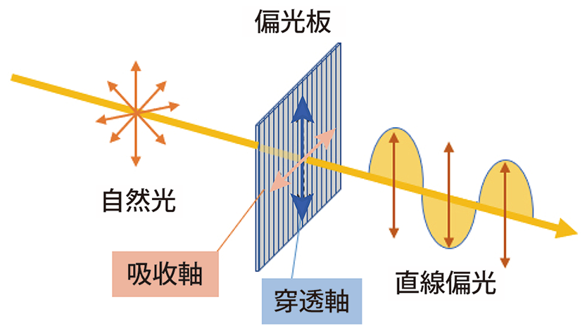 F3  WEB 技術文章　偏光とは　バラうち1-1 FIG-3 w834