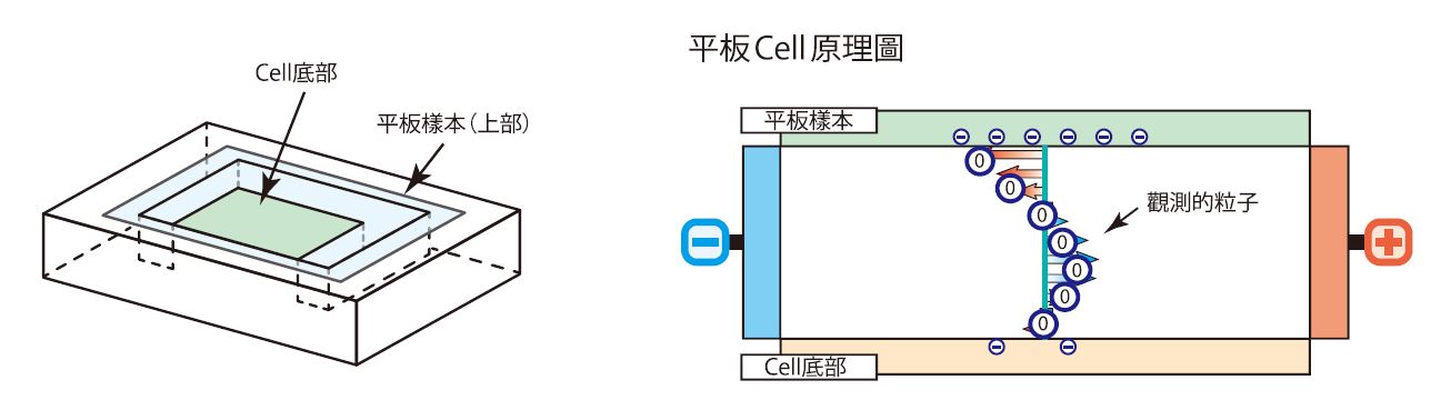 平板cell