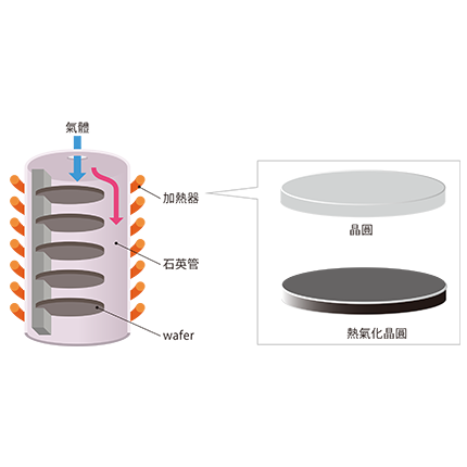 04 DSQ 430x430 04 DSQ 430x430