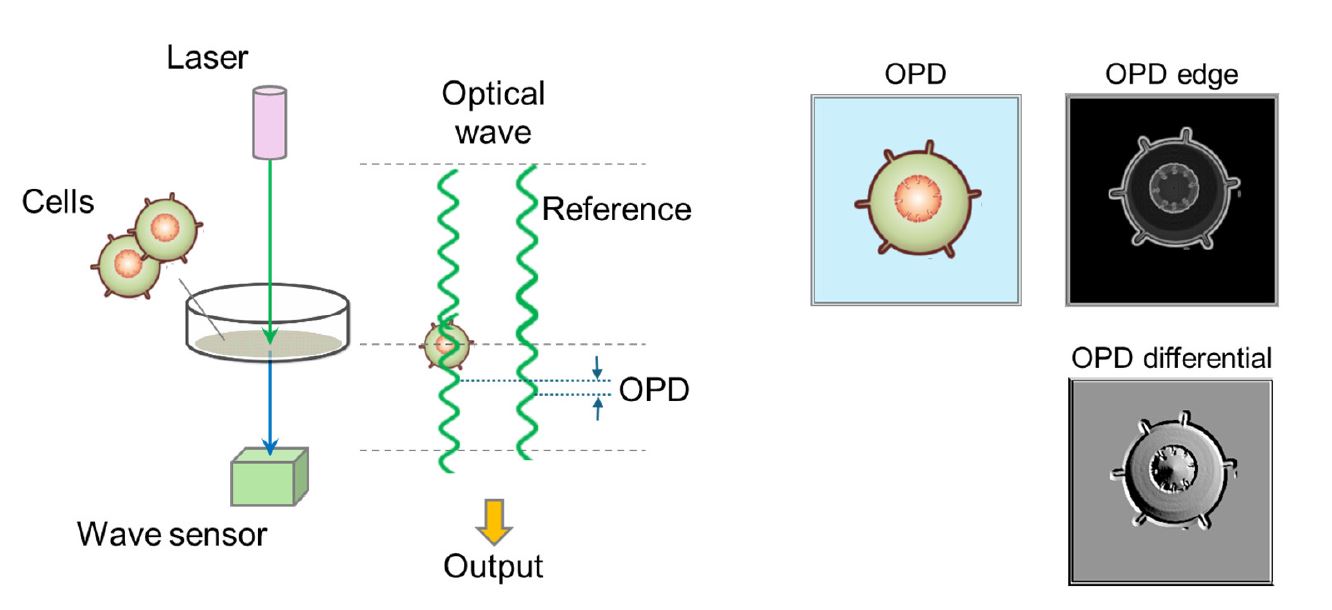 OPD示意圖 OPD示意圖