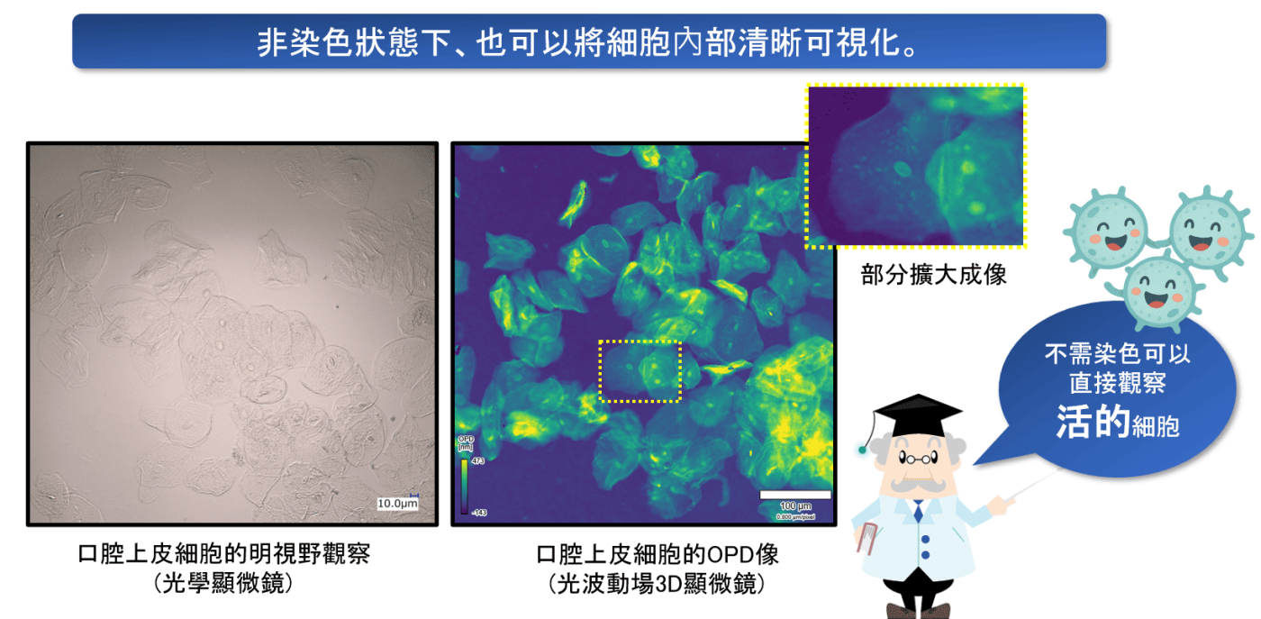 活體細胞觀察