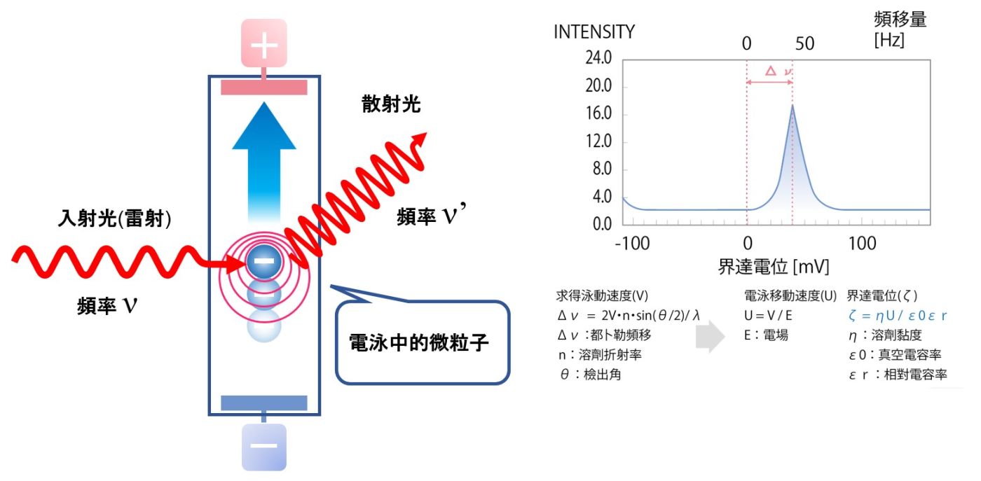 螢幕擷取畫面 2025-12-18 100401