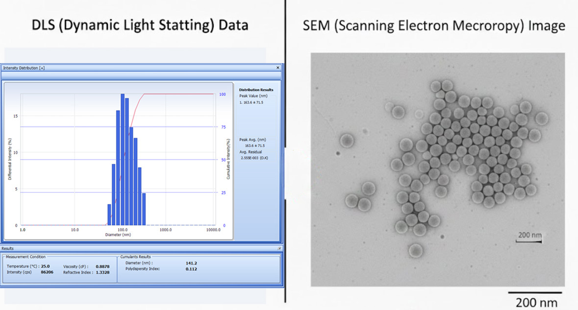 螢幕擷取畫面 2026-0304